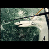 Straight & Bent Butt Trolling Rod 